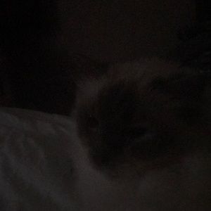 Meet your Posher, Brad